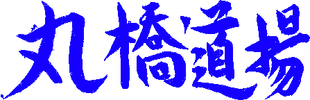 Marubashi dojo logo